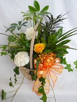 Mixed Dish Garden