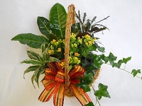 Fall Dish Garden